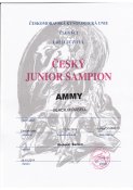 Junior-sampion